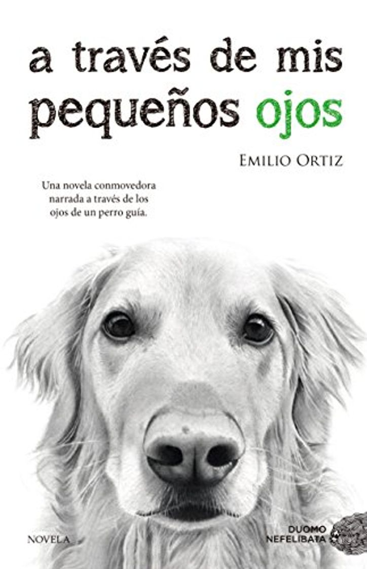 Book A través de mis pequeños ojos