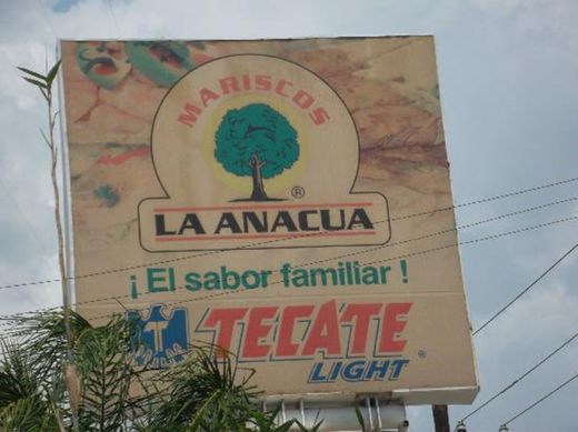 La Anacua