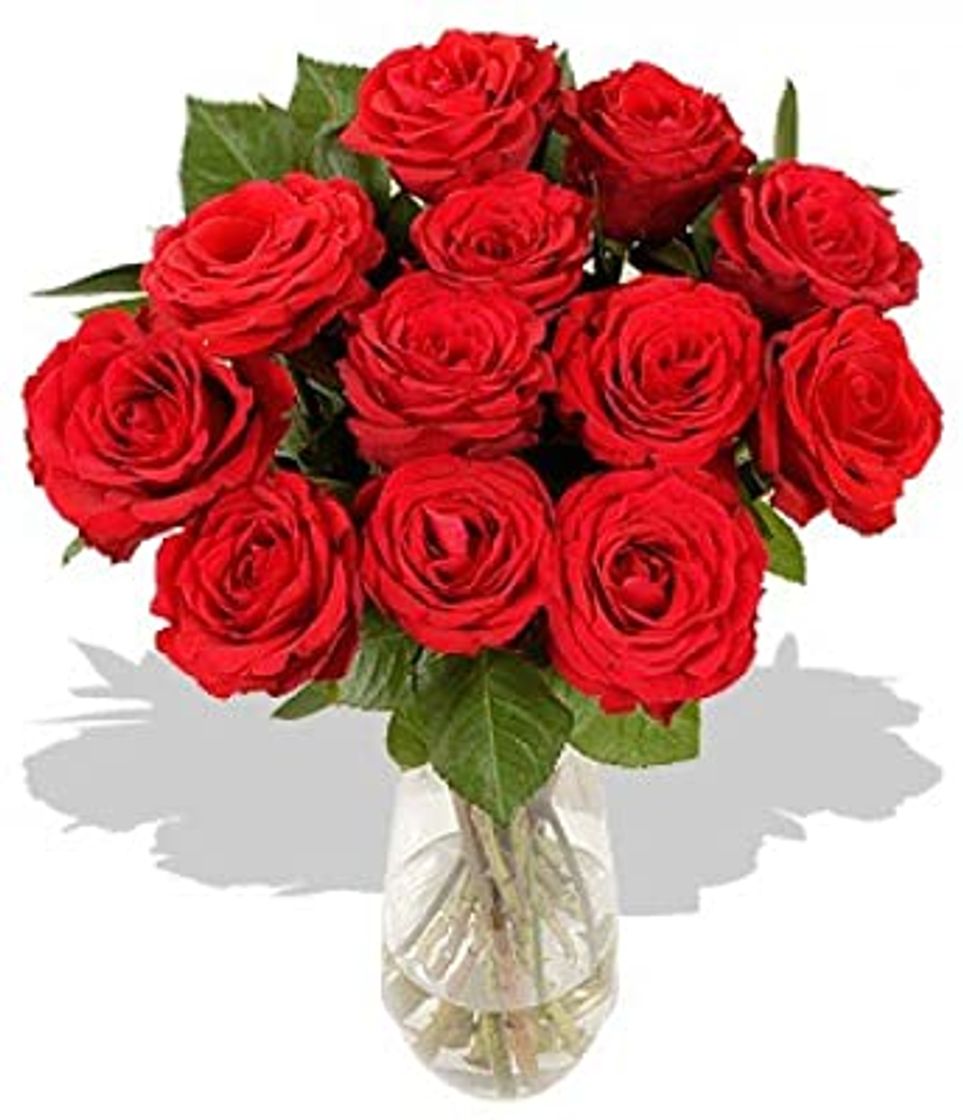 Social Ramo de 12 rosas rojas naturales FLORES FRESCAS-Entrega en 24 horas