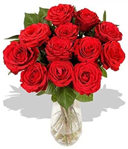 Ramo de 12 rosas rojas naturales FLORES FRESCAS-Entrega en 24 horas