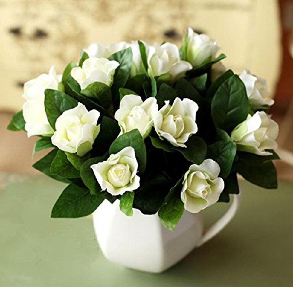 Producto Las semillas de gardenia blanca Jasminoides Cabo Jazmín fragante flor, paquete original,