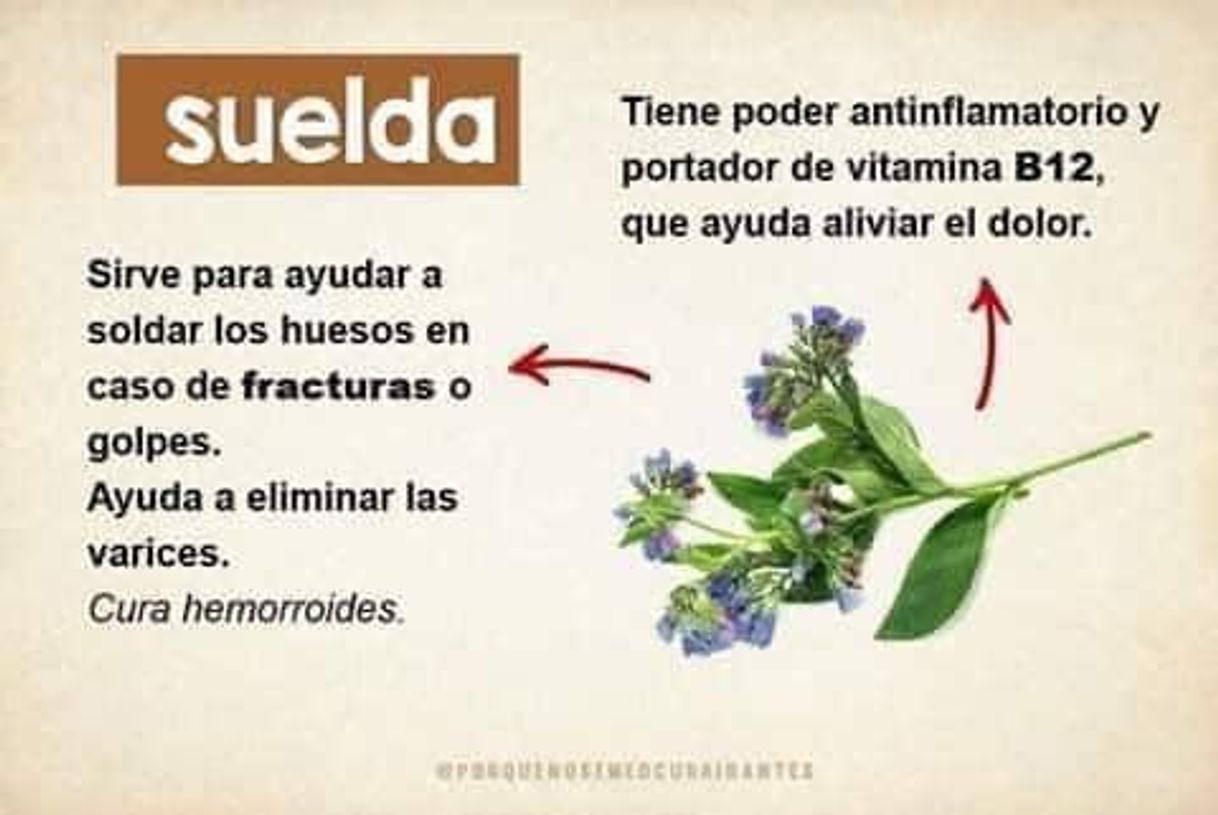 Producto Consuleda Bio Granel