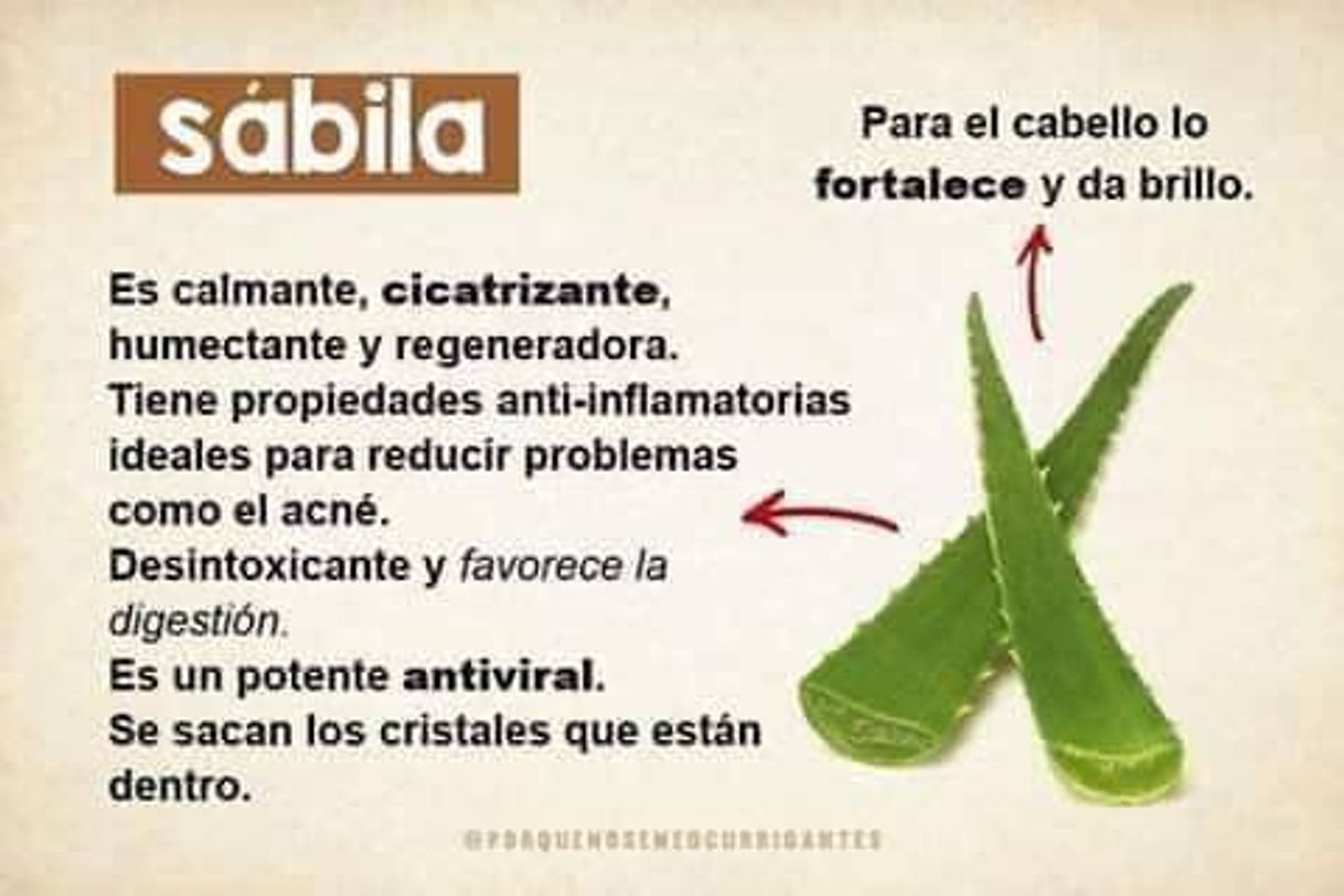 Producto Detox Aloe Vera+Hinojo