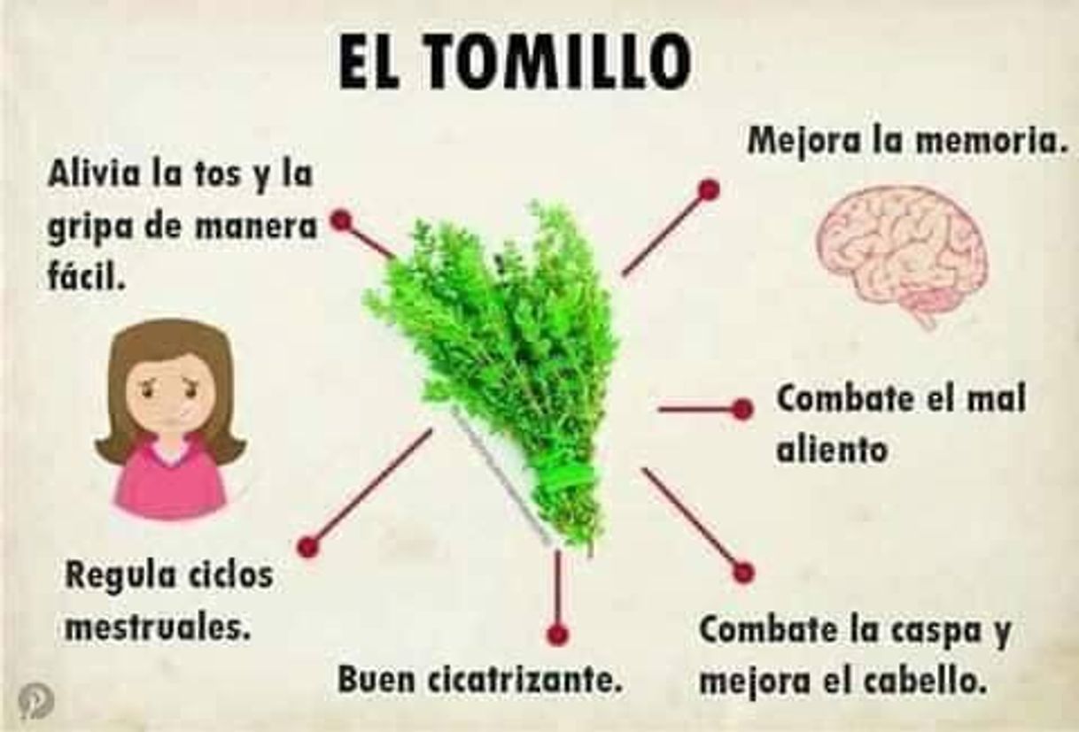 Social Semillas Ecológicas Aromáticas