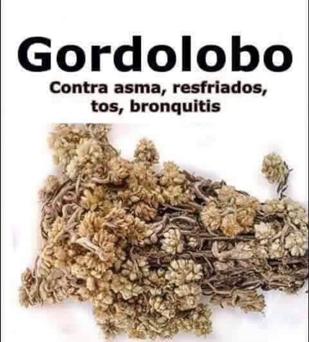 Producto GORDOLOBO HOJA CORTADA 1000 G