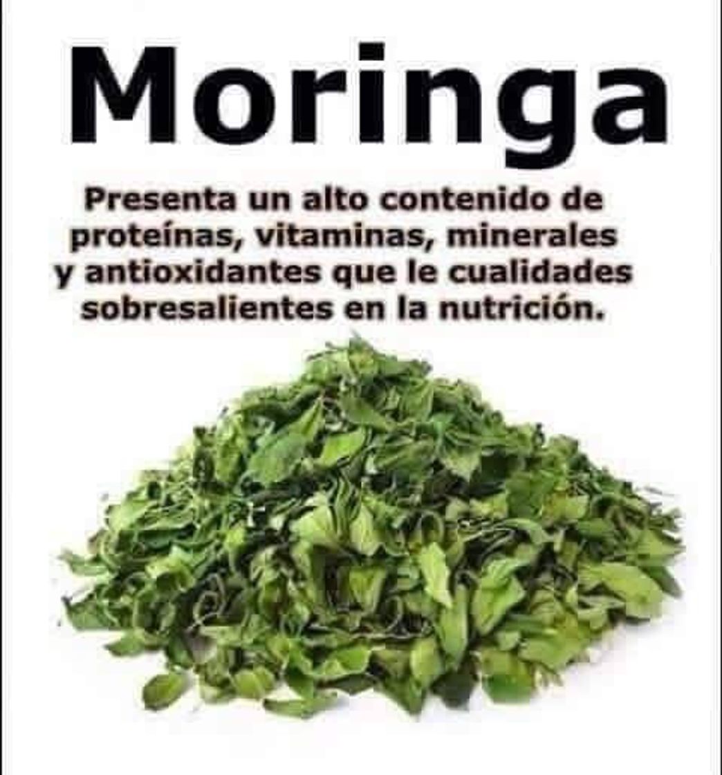 Product Moringa cápsulas 600mg o Moringa Energia Tabs 950mg - Oleifera, vegetariano, Producto