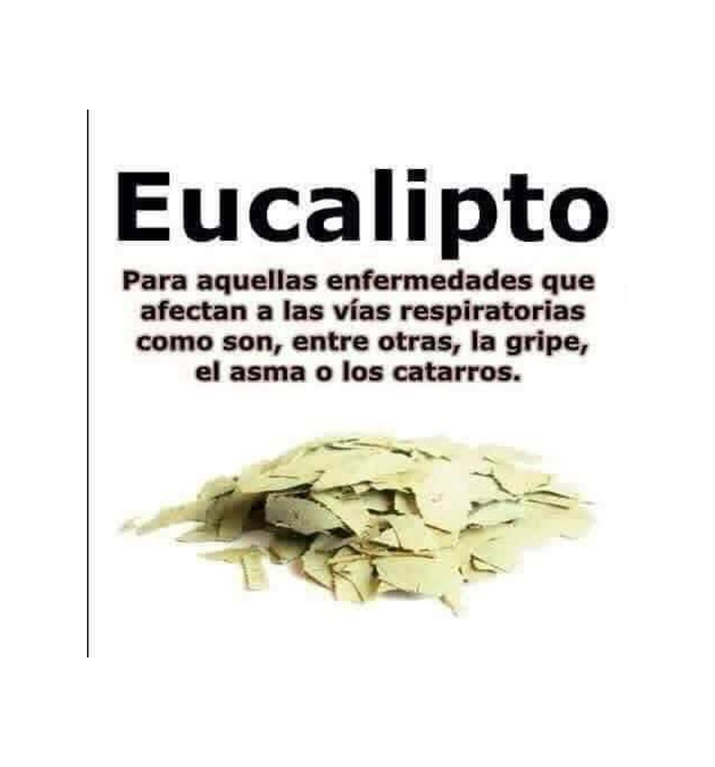 Producto Aceite Esencial Eucalipto 100ml