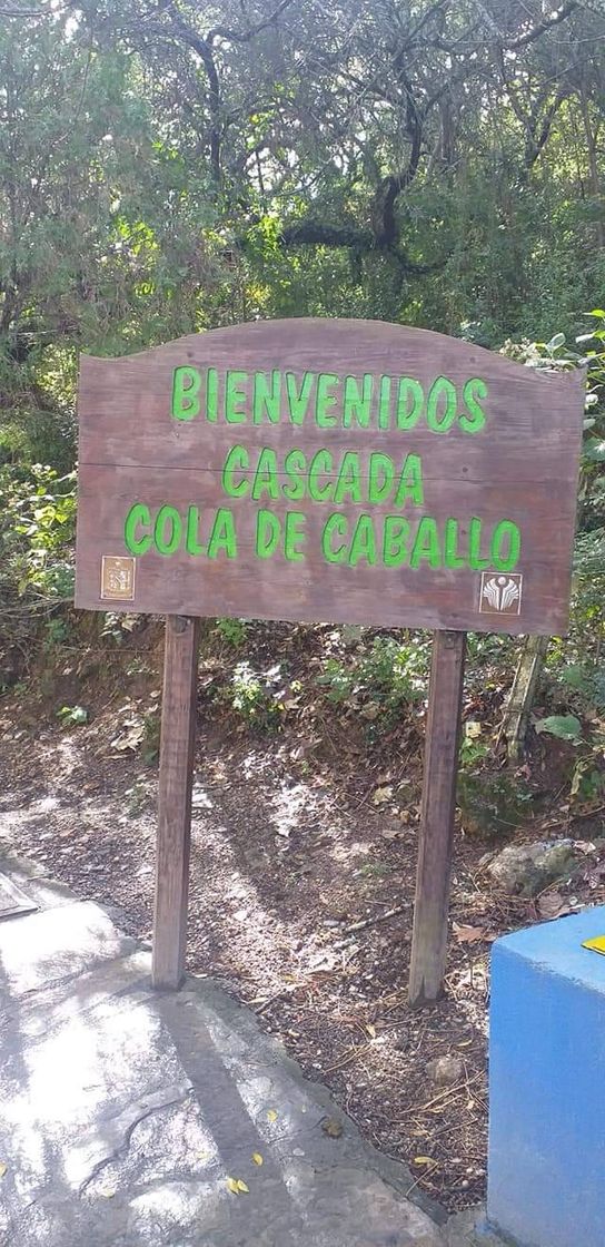 Lugar Cola de Caballo