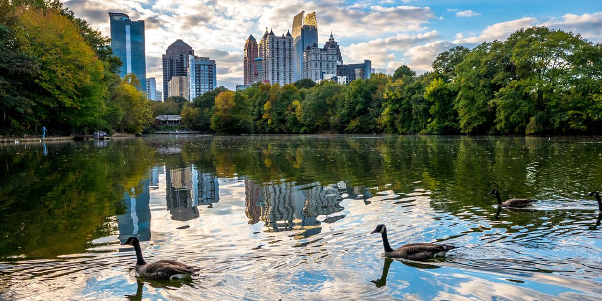 Place Piedmont Park