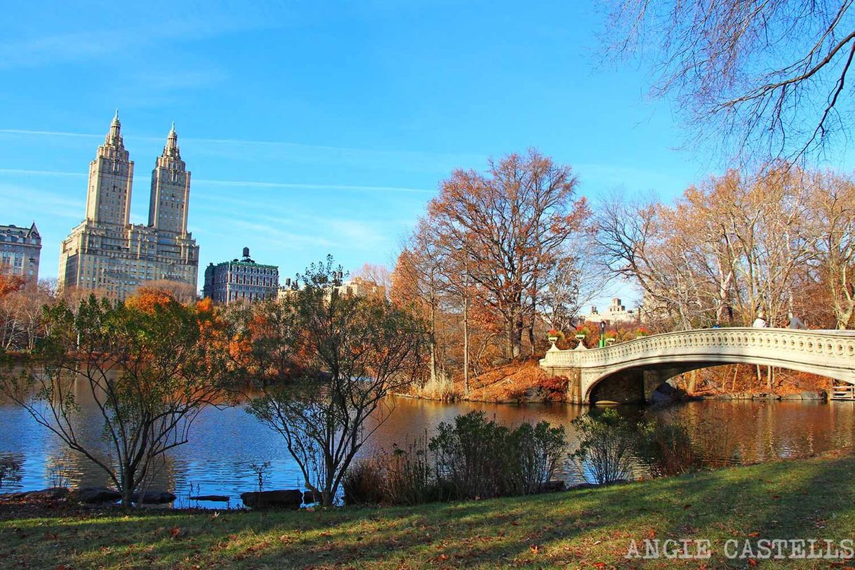 Place Central Park