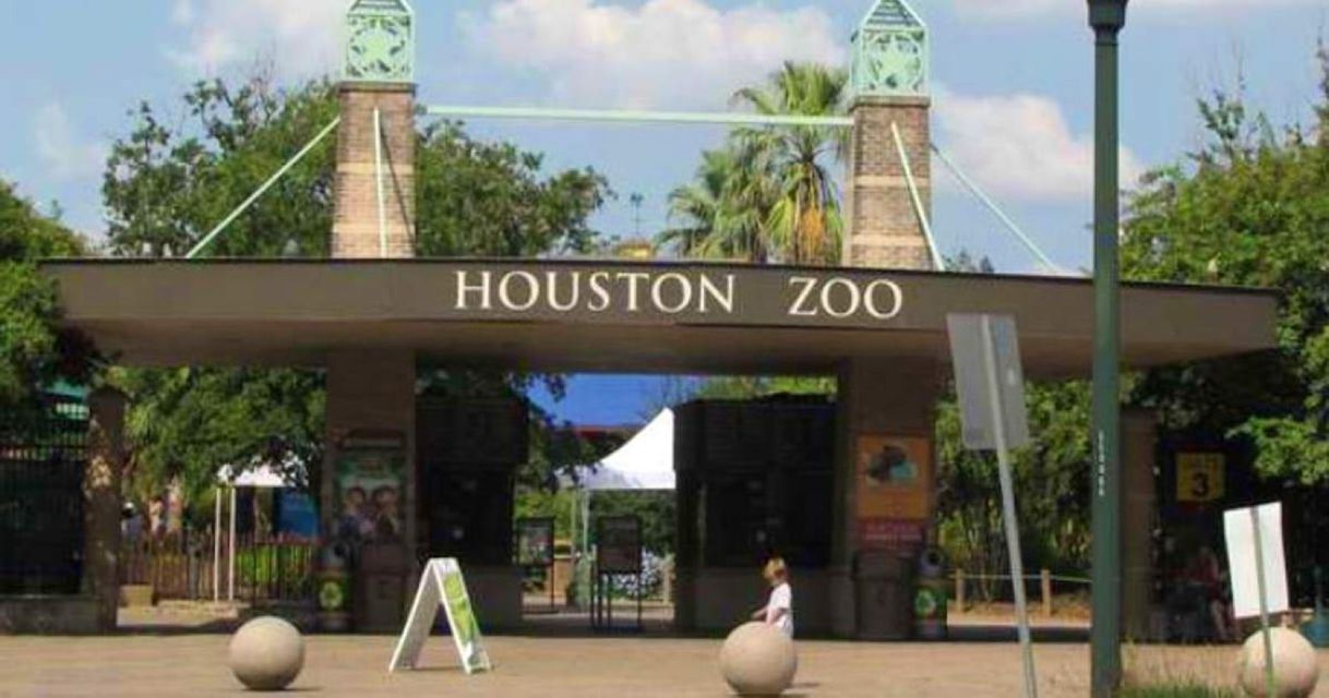 Lugar Zoológico de Houston