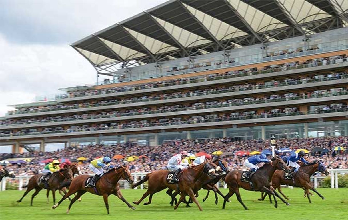 Places Ascot Racecourse