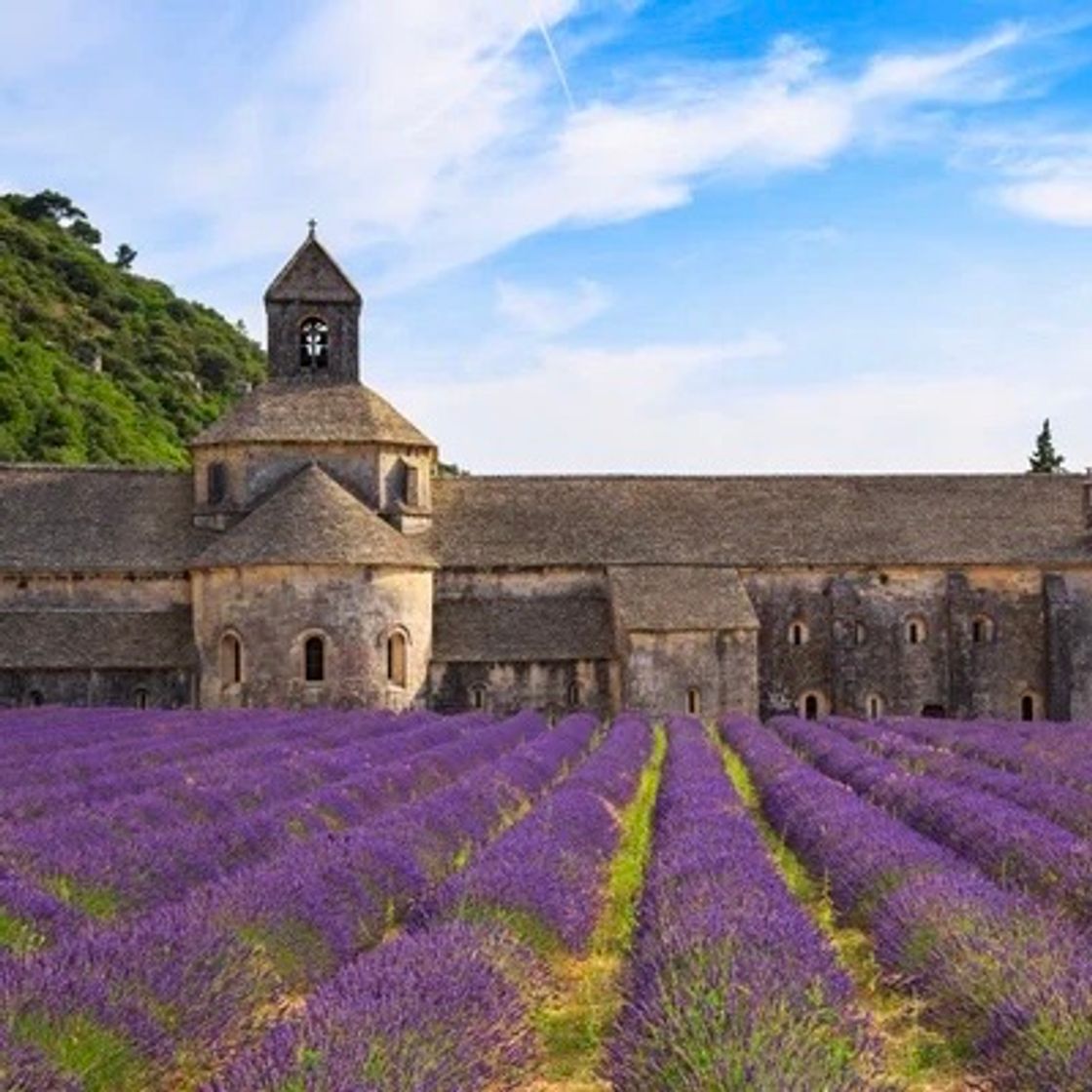 Place Sénanque Abbey