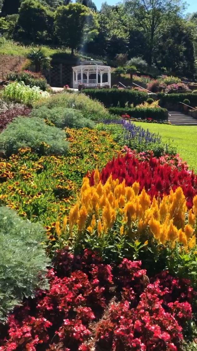 Lugar Le Jardin Parque de Lavanda