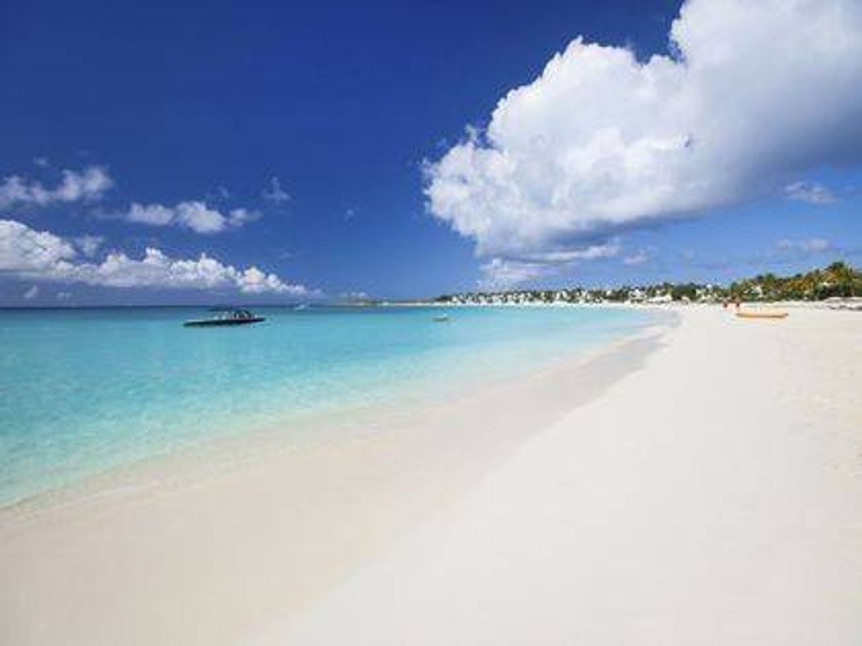 Lugar Grace Bay Beach