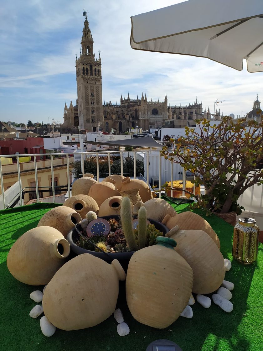 Fashion Sevilla - Terraza Pura Vida 