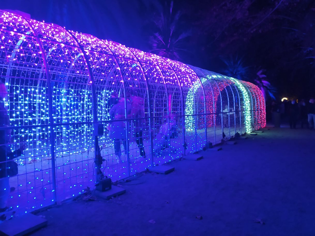 Moda Jardín botánico (Málaga)