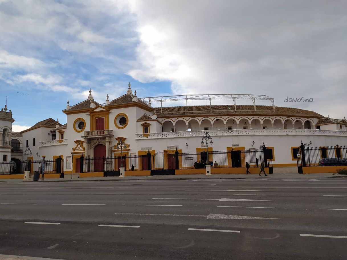 Places Plaza de Toro (Sevilla) Foto de;DAVOSNA