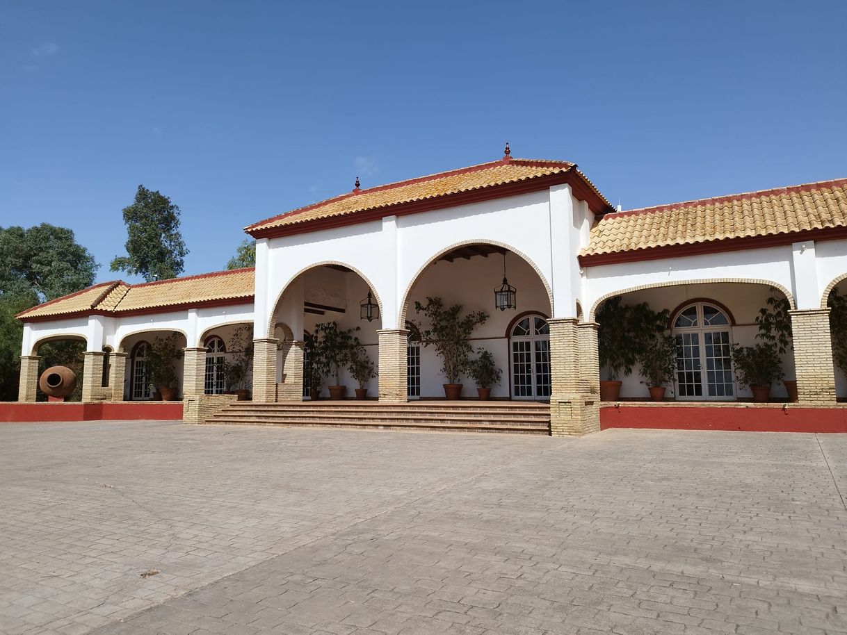 Places Hacienda La Caridad (Alcalá de Guadaira)