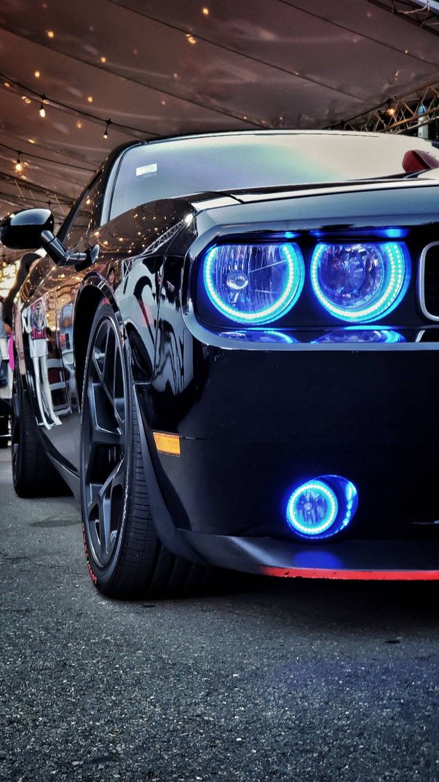 Fashion Dodge Challenger wallpaper by Samuelmm99 - Free on ZEDGE™