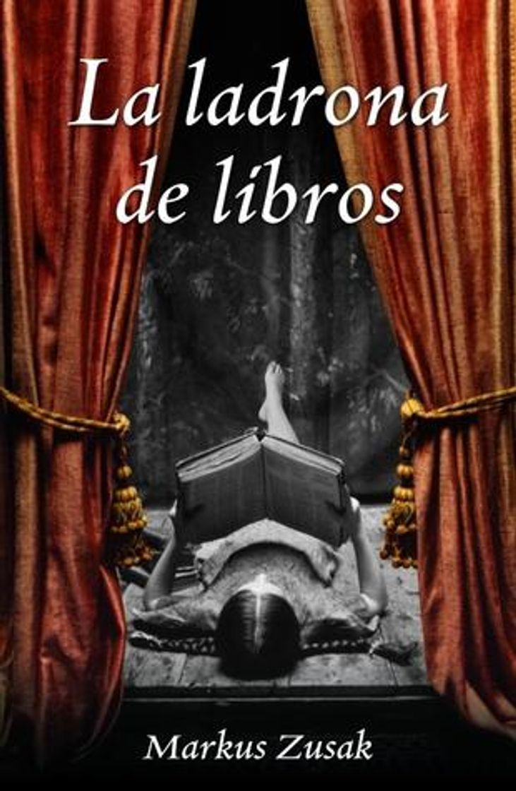 Libro La ladrona de libros
