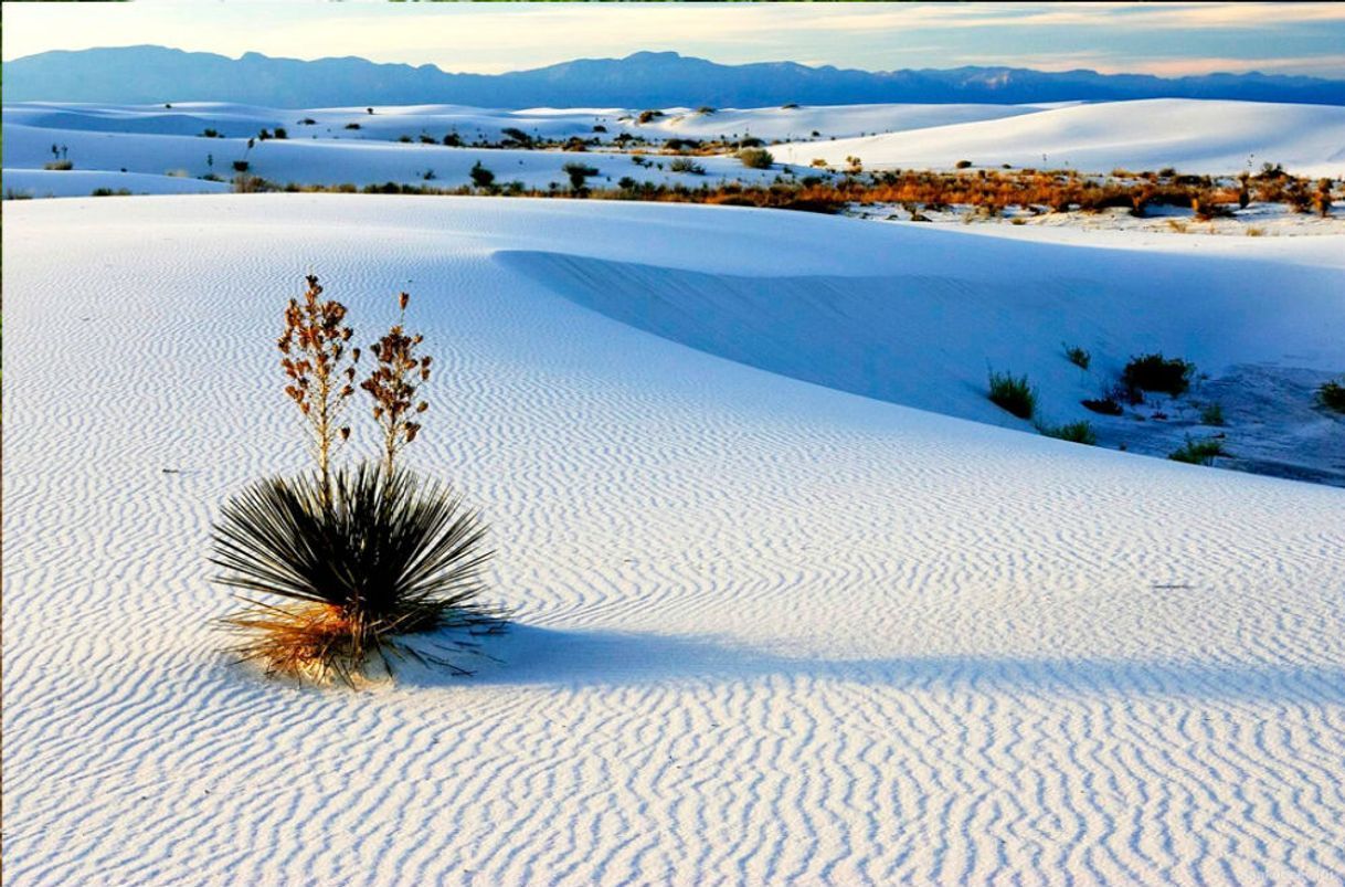 Lugar Dunas de Yeso