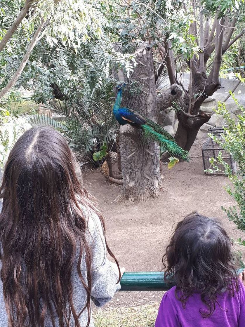 Lugar Zoológico de León