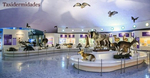 Museo de Historia Natural