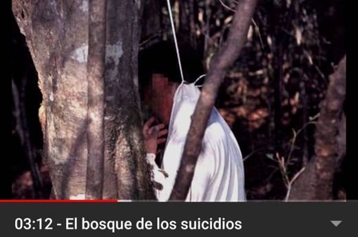 03:12 - El bosque de los suicidios