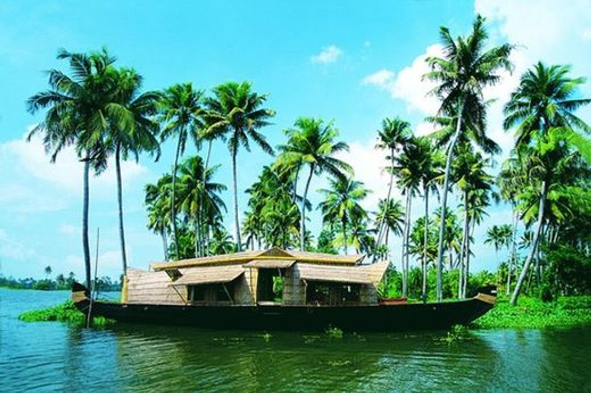 Place Vembanad Backwaters