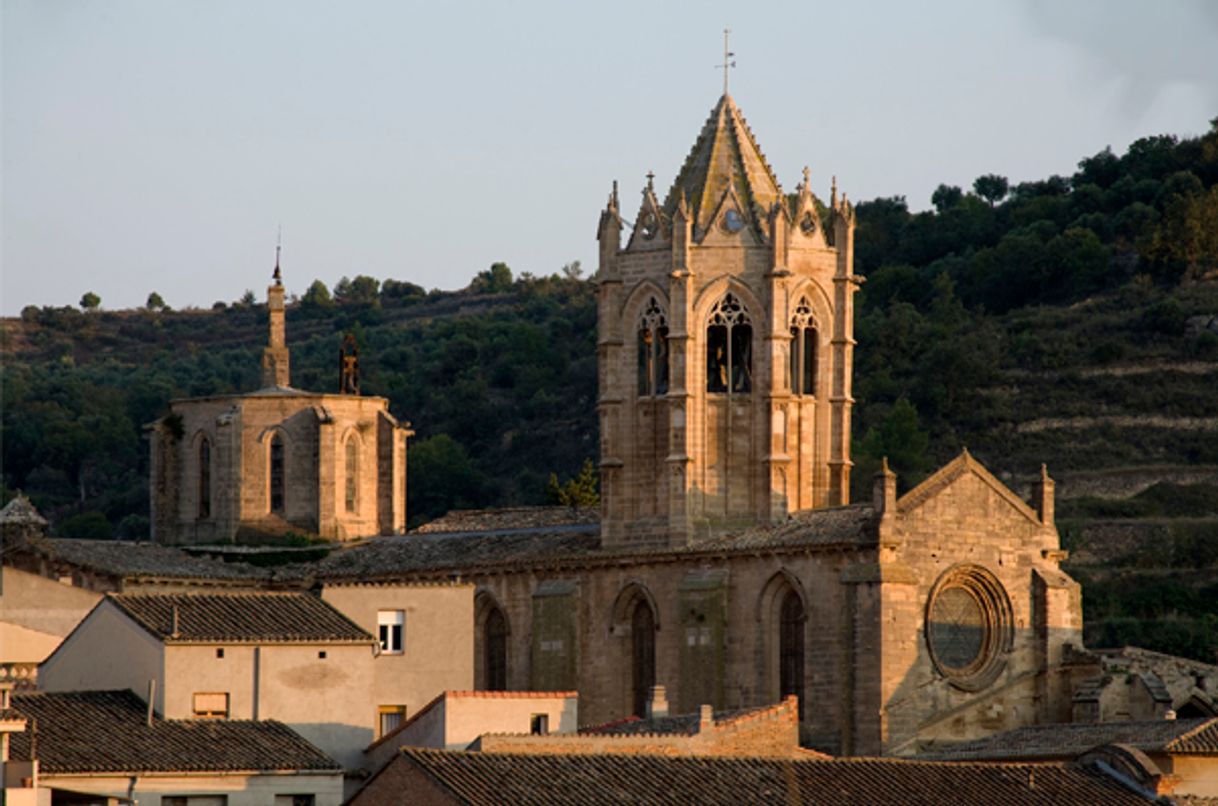 Place Santa Maria de Vallbona de les Monges