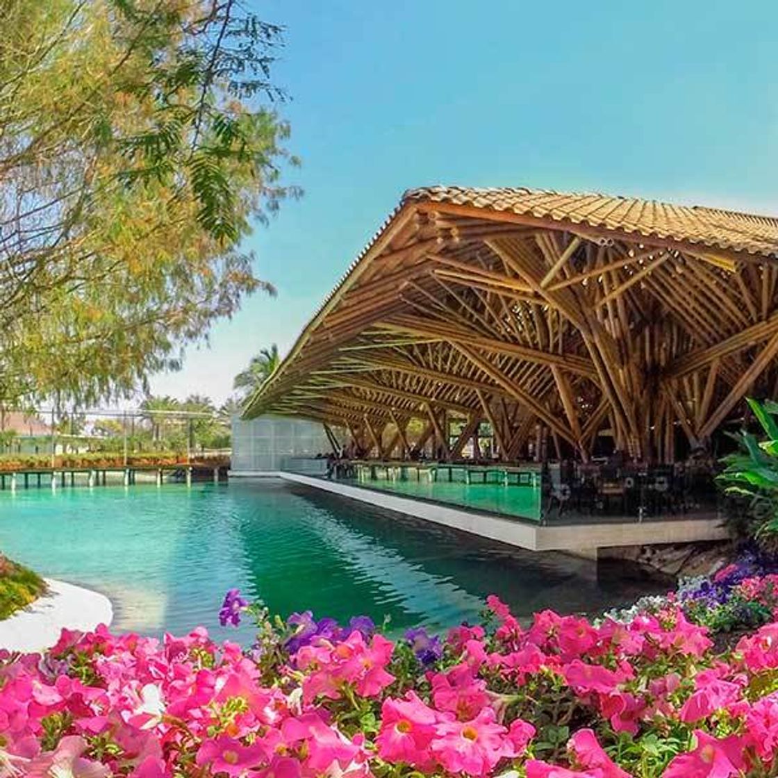 Social Jardines de México | Naturalmente Inolvidable