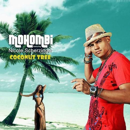 Coconut tree - mohombi