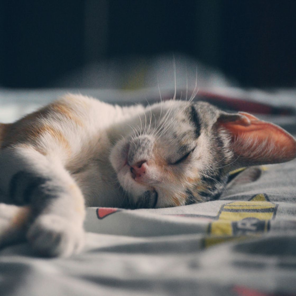Music Hora de Música para Dormir
