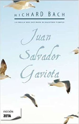 Juan Salvador gaviota (libro)