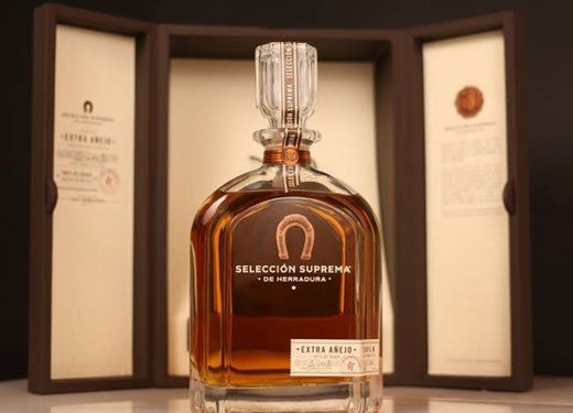 Selección Suprema de Herradura. 