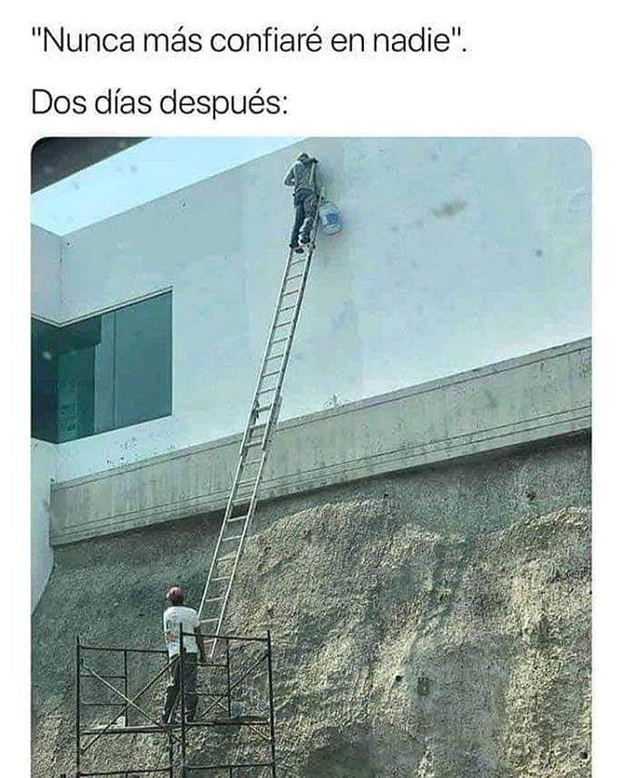 Social Memes 