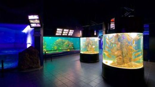 Acuario de Veracruz