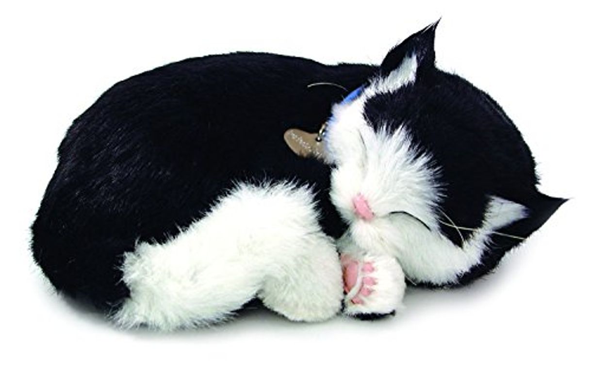 Product Cd3 - Gato de Peluche