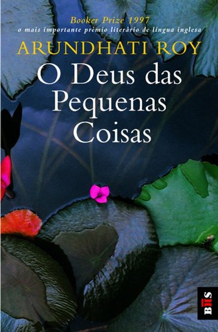 Book O Deus Das Pequenas Coisas