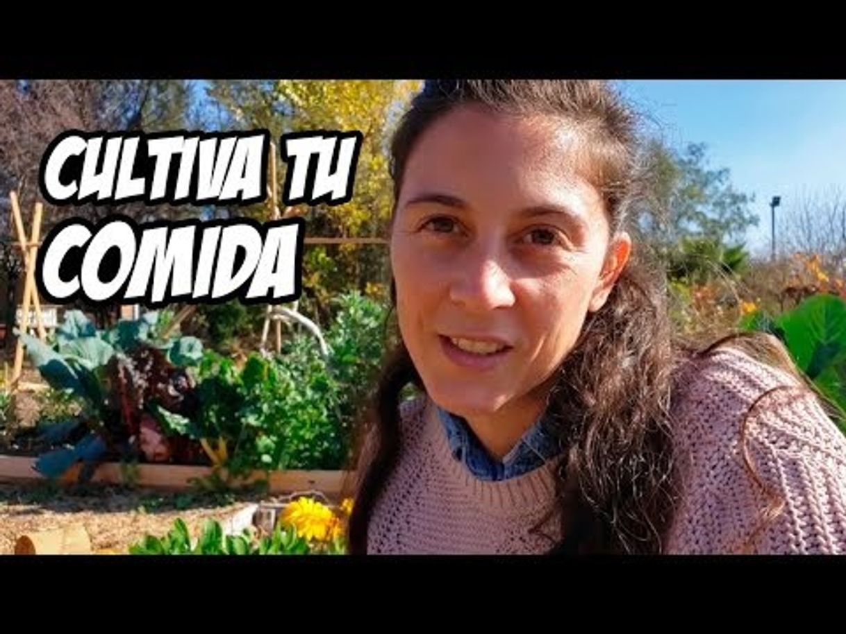 Moda La huerta cambia tu vida de una forma increíble 