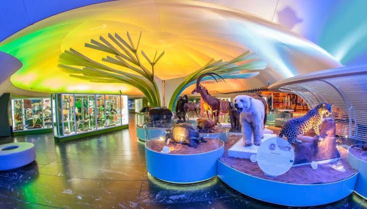 Lugar Museo de Historia Natural