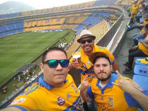 Tigres UANL