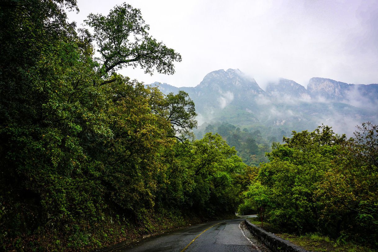 Lugar Cerro de Chipinque