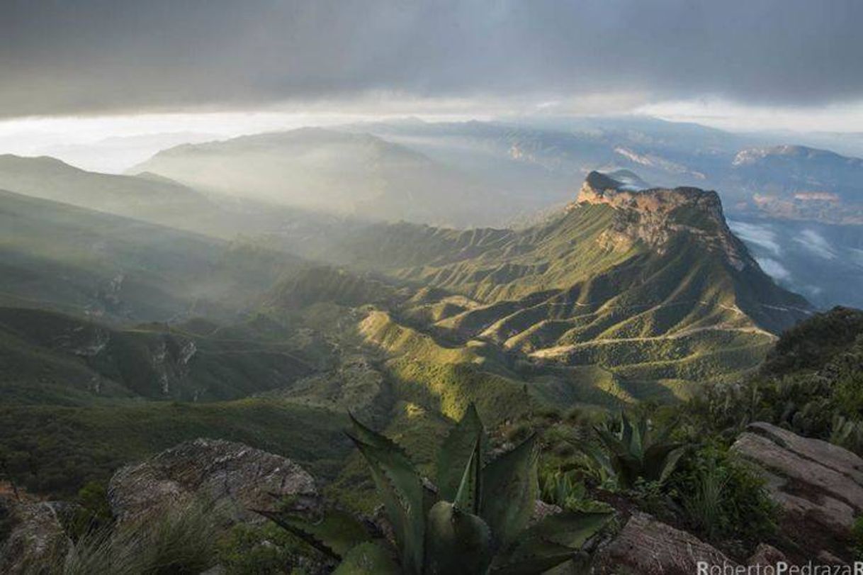 Place Sierra Gorda