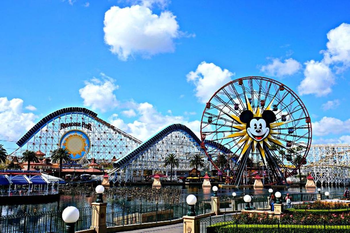 Lugar Disneyland Resort