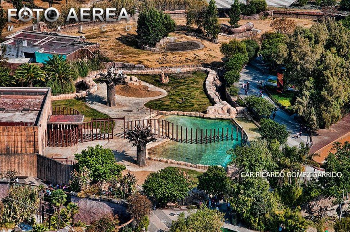 Lugar Zoológico de San Juan de Aragón