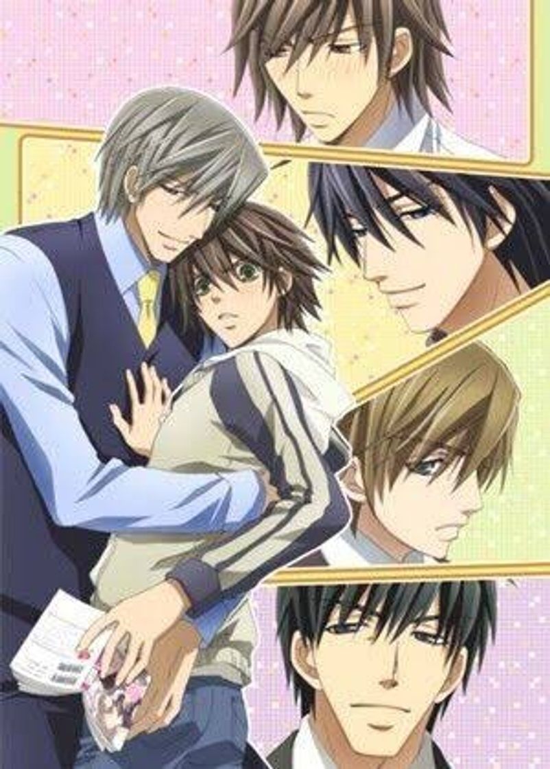 Serie Junjou Romantica