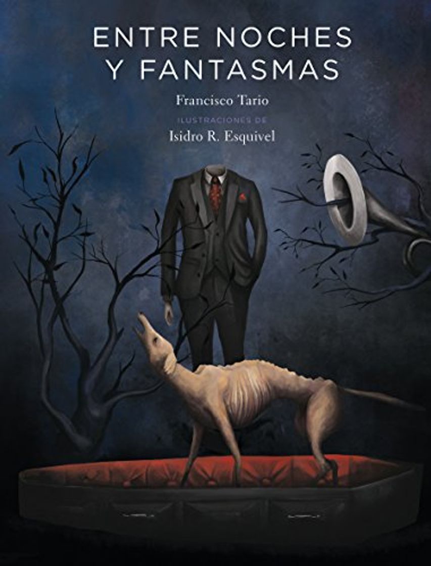 Book Entre noches y fantasmas