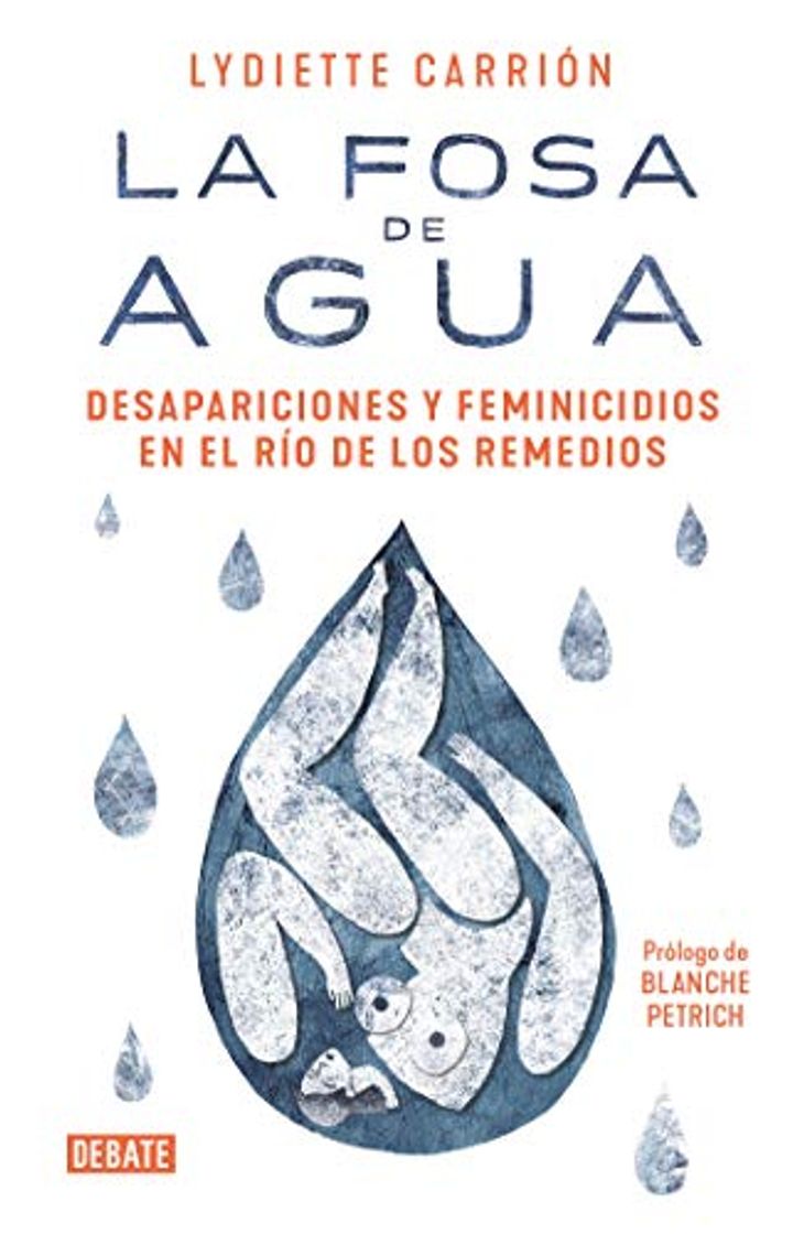 Book La fosa de agua